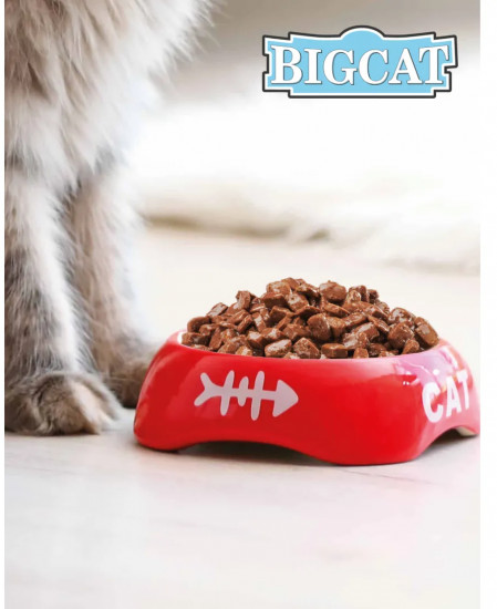 Консервы для кошек с говядиной «Big cat»