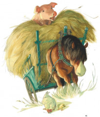 Мал қора - Фото 3