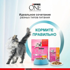 Корм влажный для котят с курицей и морковью - Фото 5