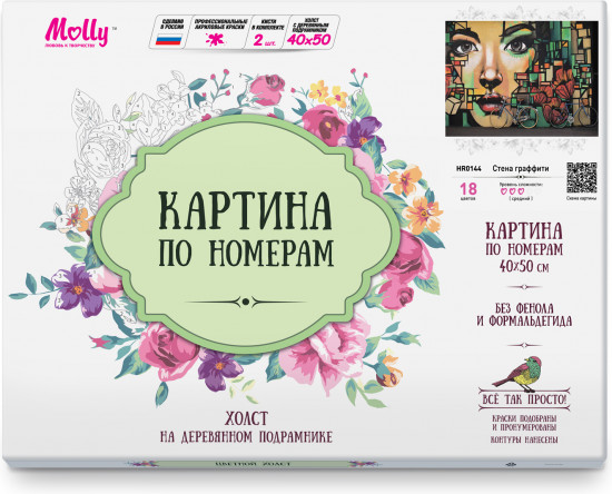 Картина по номерам «Стена граффити»