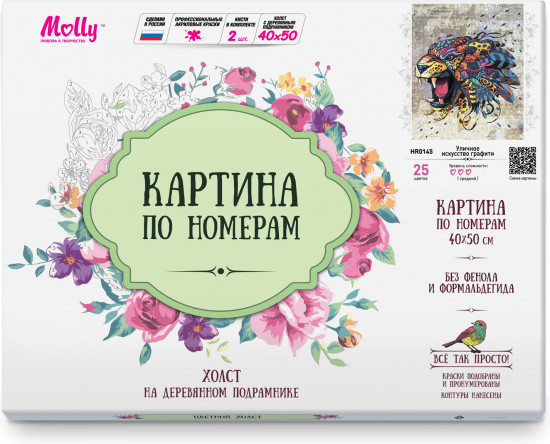 Картина по номерам «Искусство граффити»