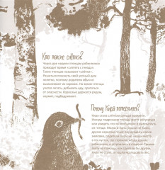 Из гнезда - Фото 3