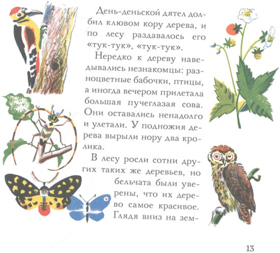 Бельчонок Сорванец