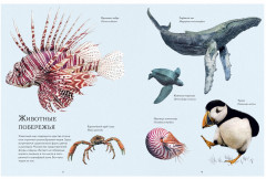 Океан и его обитатели - Фото 2