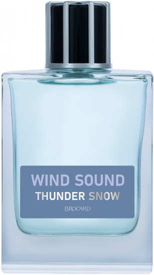 Туалетная вода «Thunder Snow»