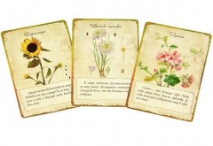 Хранительницы сада. Цветочные истории для женского сердца: психологическая игра - Фото 1