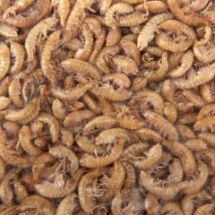 Корм для рыб Гаммарус, тушка, пакет, 100 гр - Фото 1