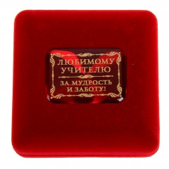 Медаль в бархатной коробке «Золотой учитель» - Фото 2