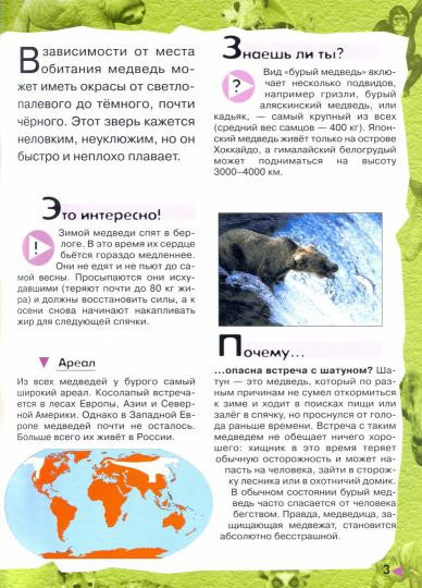 В лесу, в жарких странах, рядом с нами
