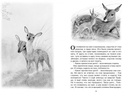 Бемби - Фото 1