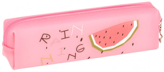 Пенал школьный