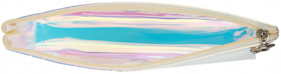 Пенал школьный