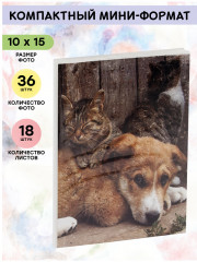 Фотоальбом «Friends» - Фото 1