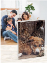 Фотоальбом «Friends» - Фото 5