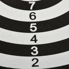 Дартс двусторонний - Фото 5