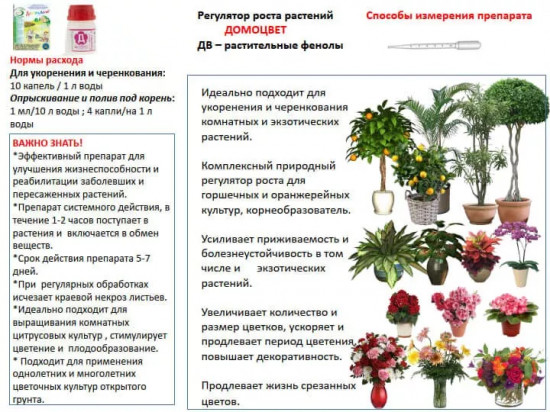 Регулятор роста «Домоцвет»