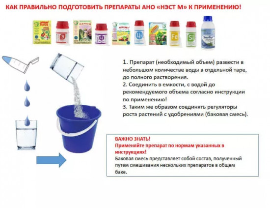 Регулятор роста «Домоцвет»