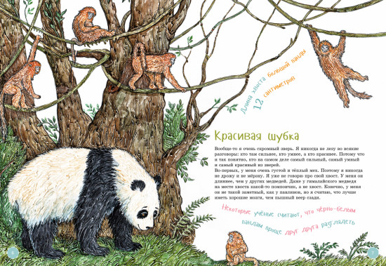 Я большая панда. Книга с раскрасками