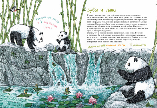 Я большая панда. Книга с раскрасками