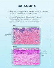 Сыворотка для кожи вокруг глаз питательная с витамином С 7% - Фото 6