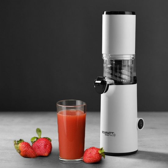 Соковыжималка шнековая Scarlett SC-JE50S59