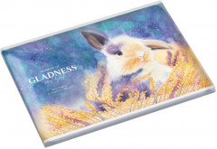 Альбом для рисования «Lovely rabbit» - Фото 3
