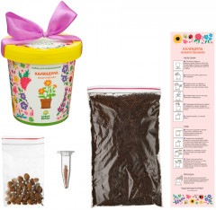 Набор для выращивания «Календула лекарственная» - Фото 2