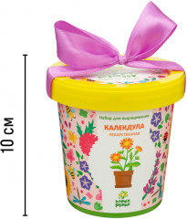 Набор для выращивания «Календула лекарственная» - Фото 6