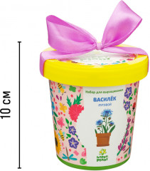 Набор для выращивания «Василек луговой» - Фото 6