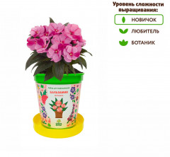 Набор для выращивания «Бальзамин милашка» - Фото 7