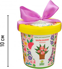 Набор для выращивания «Бальзамин милашка» - Фото 2