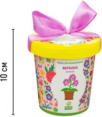 Набор для выращивания «Вербена нежная» - Фото 6