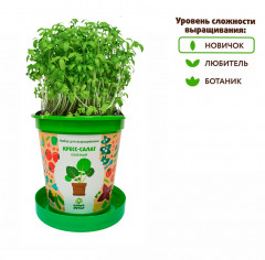 Набор для выращивания «Кресс-салат полезный» - Фото 4