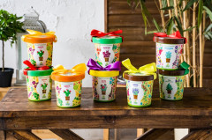 Набор для выращивания «Тыква медовая» - Фото 1