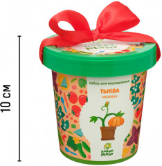 Набор для выращивания «Тыква медовая» - Фото 6