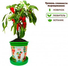 Набор для выращивания «Перец сладкий» - Фото 4