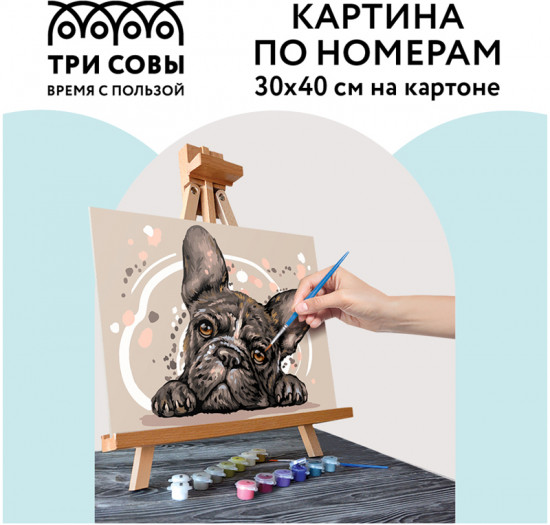 Картина по номерам «Французский бульдог»
