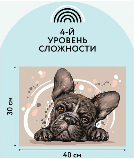 Картина по номерам «Французский бульдог»