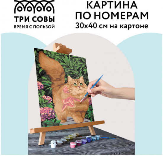 Картина по номерам «Прогулка по саду»