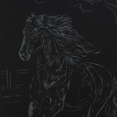 Гравюра «Ахалтекинская лошадь» - Фото 3