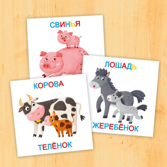 Игра развивающая «Мамы и детки»