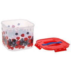 Контейнер для хранения «Ягоды» (7 л) - Фото 1