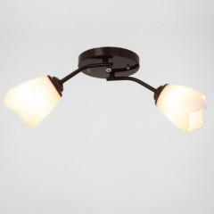 Люстра - Фото 1