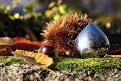 Контейнер для таблеток «Chestnut» - Фото 1