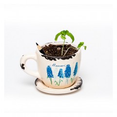 Растущие карандаши «Пряные травы» чернографитовые - Фото 1