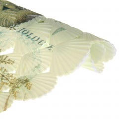 Коврик для ванны «Ракушки», 35х70 см - Фото 2