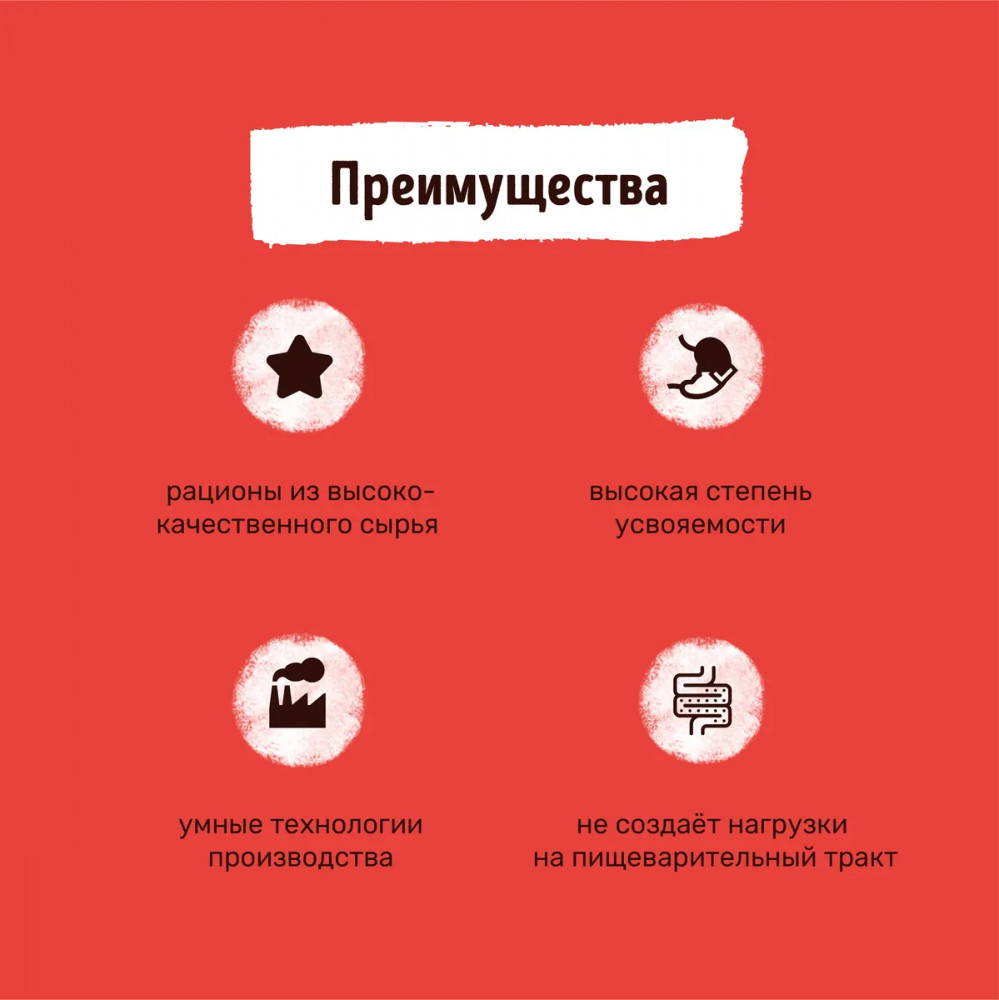 Набор паучей для собак «Кусочки говядины в аппетитном желе». | Smart Dog | Фото 7
