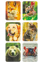 Игра развивающая «Досочки Сегена.Животные» - Фото 5