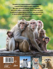 Мир животных - Фото 1