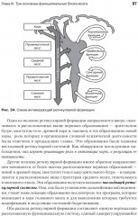 Основы нейропсихологии - Фото 4